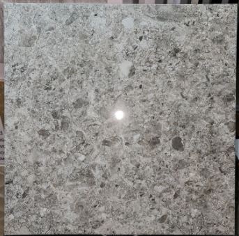Platinum Dallas Grey 50x50 KW C